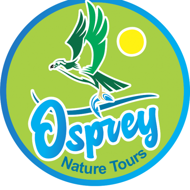 Osprey Nature Tours